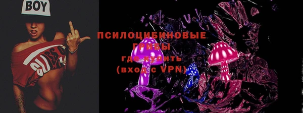 хмурый Горно-Алтайск