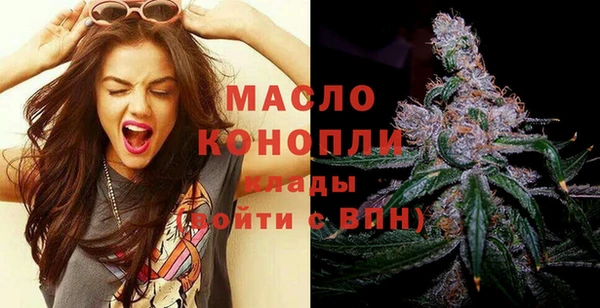 дмт Дмитровск