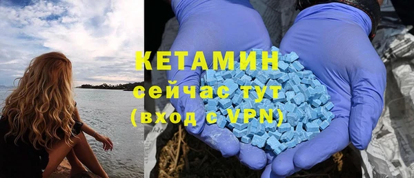 дмт Дмитровск