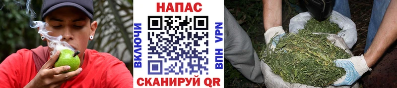 Купить закладки  Полярный  Канабис конопля 